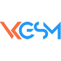 Компания VkGsm