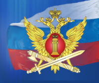 Воронежский институт Федеральной службы исполнения наказаний