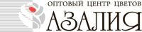 Компания Азалия