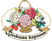 Магазин модных увлечений Большая корзина