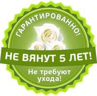 Магазин цветов в вакууме