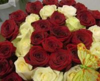 Магазин цветов Зеленый дом+