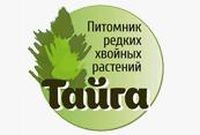 Питомник редких хвойных растений Тайга