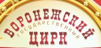 Государственный Воронежский цирк им. Дурова