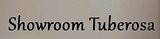 Showroom Tuberosa