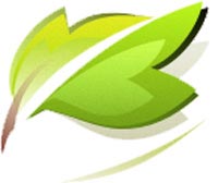 ООО Паркетный мир