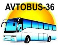 Компания Автобус-36