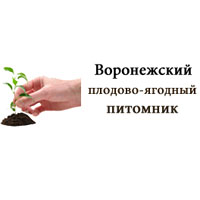 Воронежский плодово-ягодный питомник