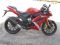 Omaks racing bike 250 или motrac R11 JJ250. Фото 1.