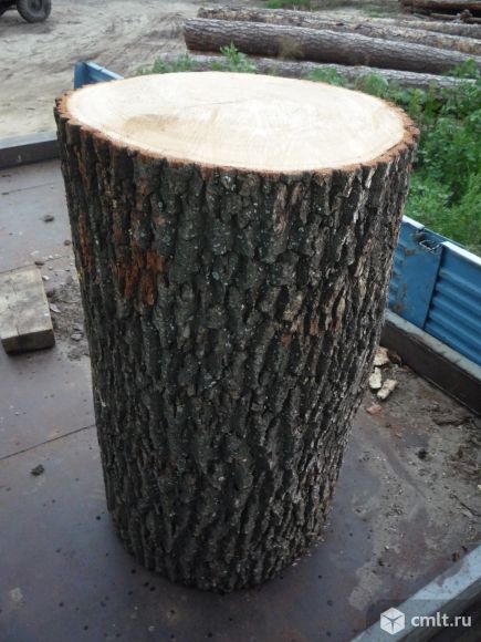 Колоды для рубки мяса и колки дров. Фото 1.