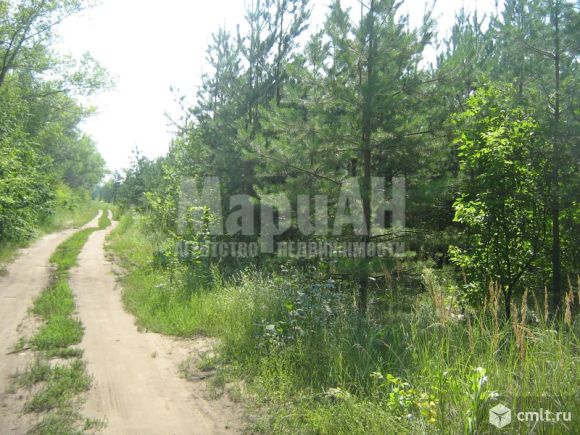 Участок 120 сот. Вдоль трассы М-4. Фото 4.