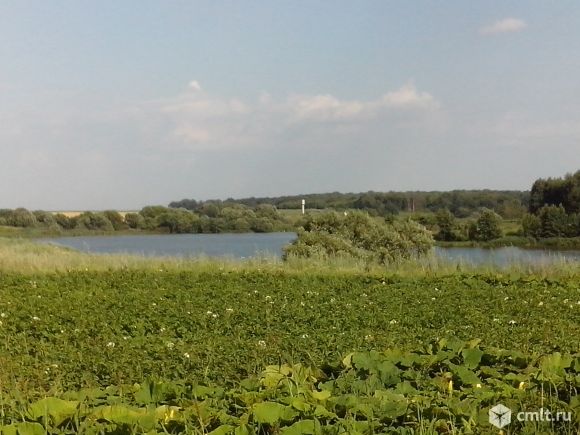 Дом,участок в тихом,живописном месте. Фото 5.