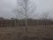 Участок 15 сот.. Фото 3.