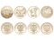 Монеты 25 руб Олимпиада Сочи в блистерах. Фото 2.
