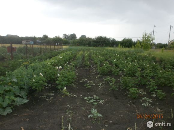 Новоусманский район, Тамлык СНТ. Дача, 60 кв.м, 2 уровня. Фото 7.