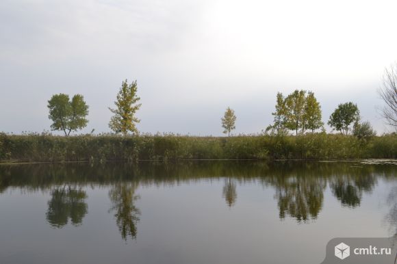 Участок 13 сот.. Фото 1.