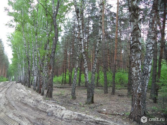 Деревня богданово воронежская