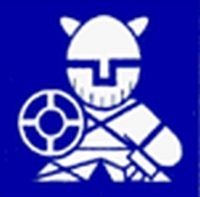 Липецк Викинги, автодилер. Фото 1.