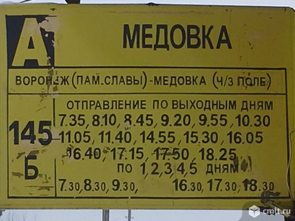 Расписание автобусов 366в новоживотинное. Медовка расписание автобусов. Расписание автобуса 145 Воронеж Медовка. Автобус Медовка через поле. Расписание автобусов Рамонь.