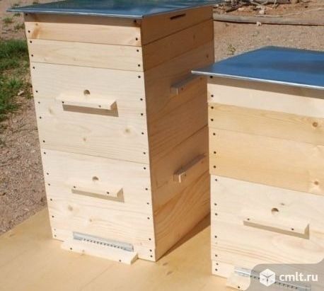 Обменяюсь опытом пчеловода с желающими. Фото 1.