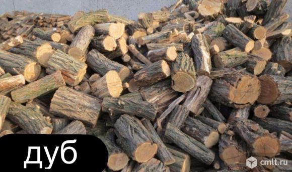 Дрова дубовые. Фото 1.