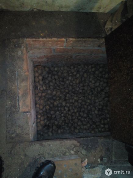 Овощехранилище. Фото 1.