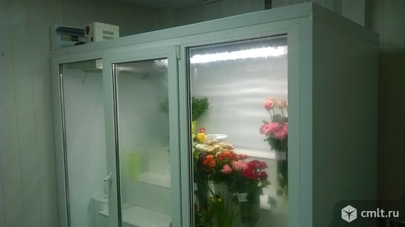 Холодильная камера для цветов. Фото 3.