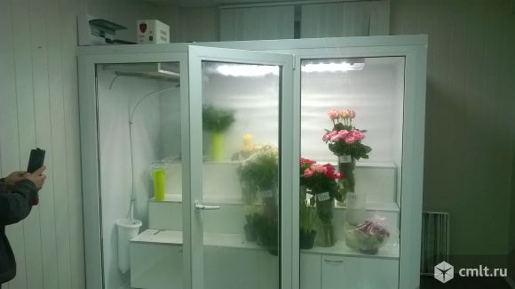 Холодильная камера для цветов. Фото 1.