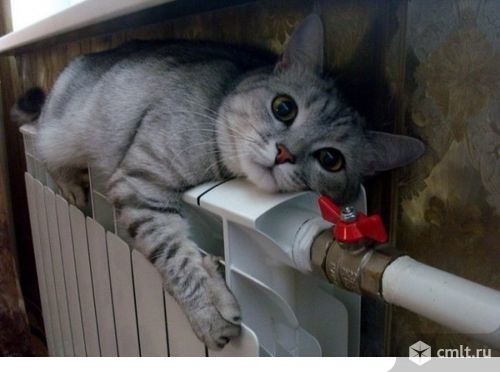 Отопление, водопровод. Установка радиаторов. Фото 1.