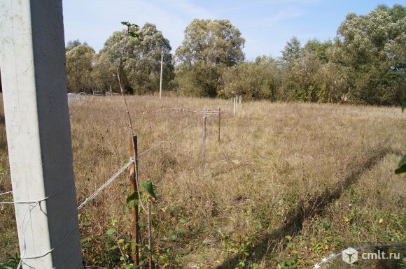 Участок 9 сот.. Фото 4.