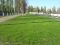 Газон рулонный, от 128 р./рулон. Склад в Воронеже. Фото 4.
