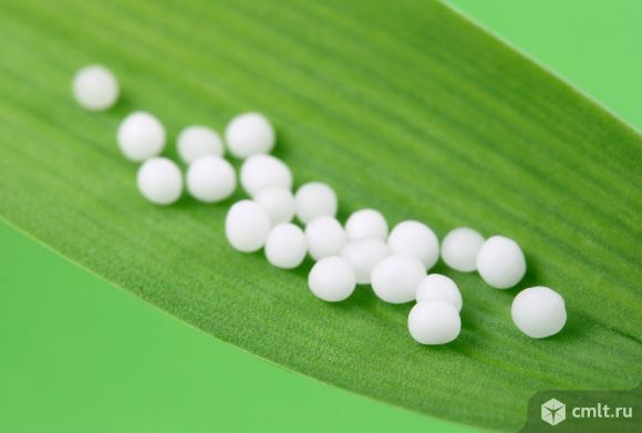 Кабинет классической гомеопатии. Фото 1.