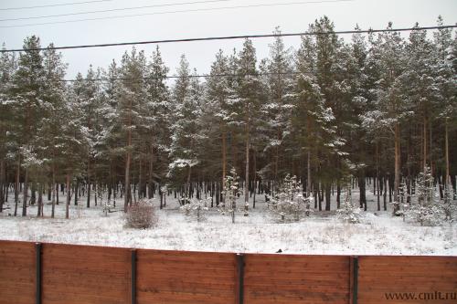 Дом в Малышево. Фото 8.