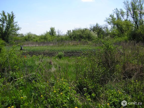 Участок 104 сот.. Фото 1.