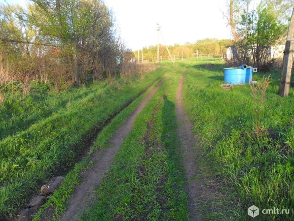 Участок 40. Воронежская область Кондрашевка участок. Почвы Семилукского района Воронежской области. Семилукский район, ЗАО 