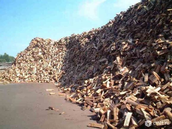 Дрова дубовые. Фото 1.