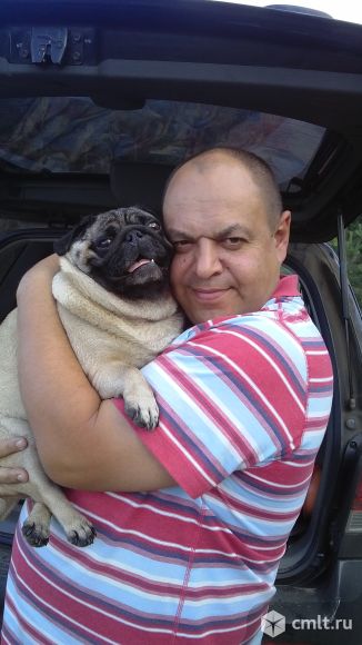 Директор по строительству. Фото 1.