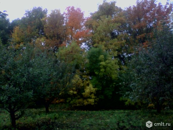 Участок 7 сот.. Фото 1.