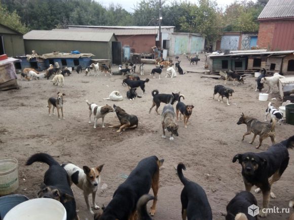 Рабочий по уборке территории. Фото 1.