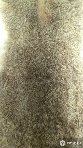 Шкура (мех) зайца, кролика. Фото 8.
