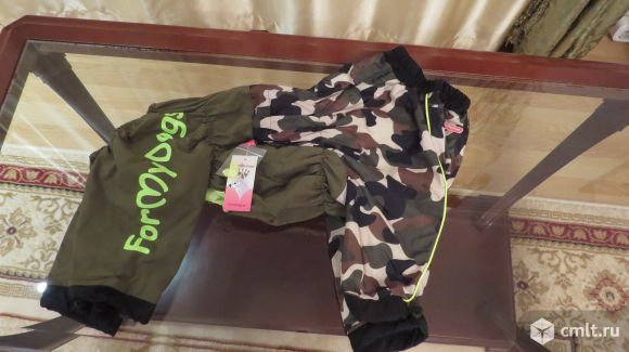 Костюм для английского кокер спаниеля. Фото 1.