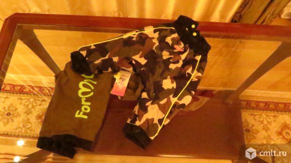 Костюм для английского кокер спаниеля. Фото 3.