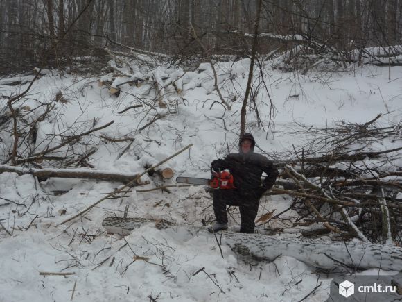 Пильщик и вальщик леса в одном лице торговой базе Амарант. Фото 4.