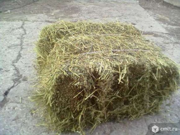 сено в тюках