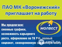 Работа в воронеже свежие вакансии. Работа в Воронеже. Свежие вакансии в Воронеже. Работа в Воронеже вакансии. Ищу работу в Воронеже.