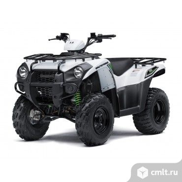 Квадроцикл Kawasaki BRUTE FORCE 300. Фото 1.