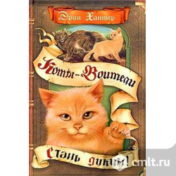 Коты-Воители. Сумерки. Фото 1.