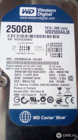 HDD Western Digital WD Blue 250 GB IDE. Фото 1.