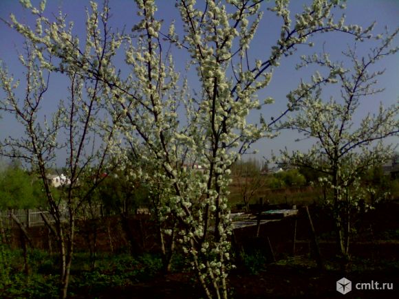 Дом 42 кв.м. Фото 3.