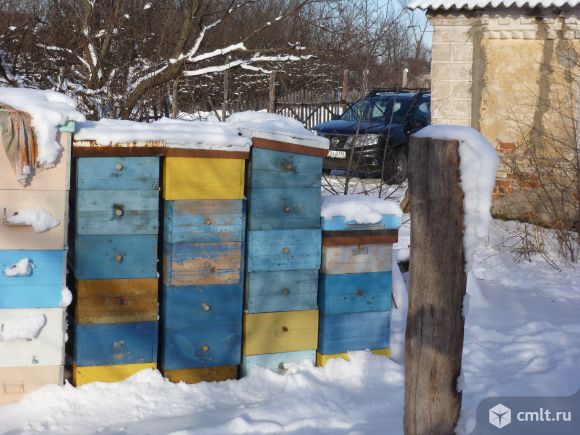 Ульи рутовские и дадановские, бесфальцевые и фальцевые. Фото 1.